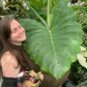 Meet your Posher, Emma